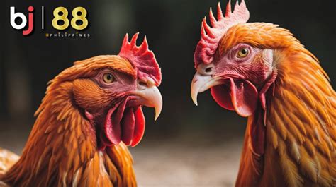 BJ88: Understanding the Philippine Cockfighting Commission’s .
